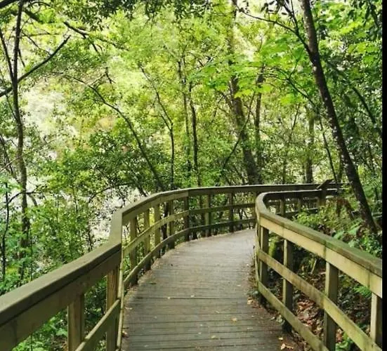 Casa Doade, En A Ribeira Sacra 펜션 Doade